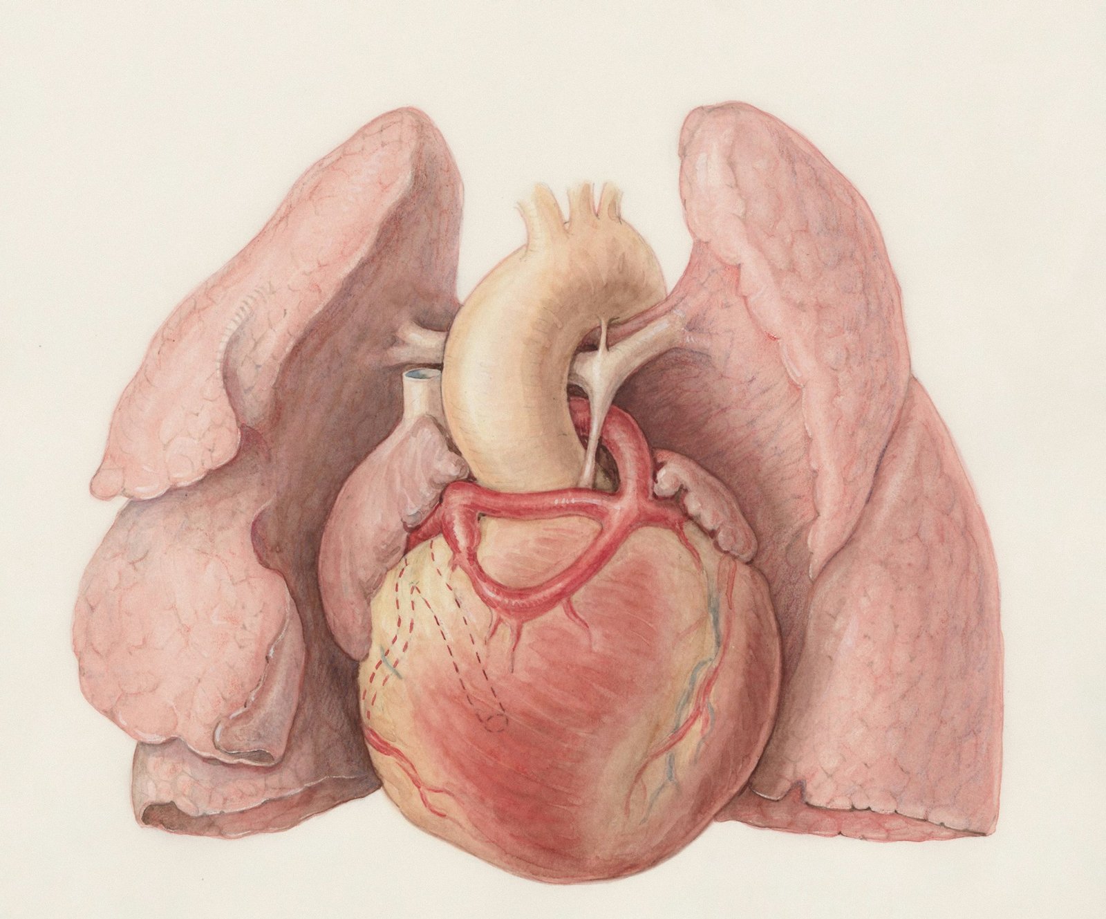 Human remains